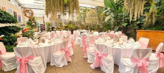 #orchideenhaus hochzeit saaldeko rosa.jpg
